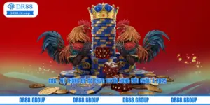 AOG – Hệ Thống Đá Gà Trực Tuyến Hàng Đầu Châu Á 2025