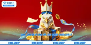 Odin – Sảnh Đá Gà Đẳng Cấp, Trải Nghiệm Chuẩn Quốc Tế