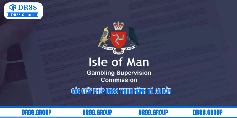 Các giấy phép DR88 thịnh hành và cơ bản