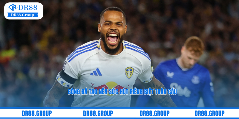 Cá cược bóng đá tại SBO Bet tại DR88 tạo nên sức hút riêng biệt toàn cầu