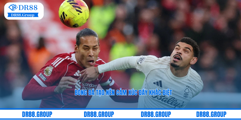 Bóng đá tạo nên cảm xúc đầy khác biệt tại sảnh thể thao CMD 368