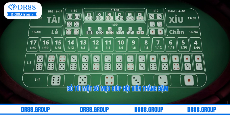 Bỏ túi một số mẹo giúp hội viên thắng đậm